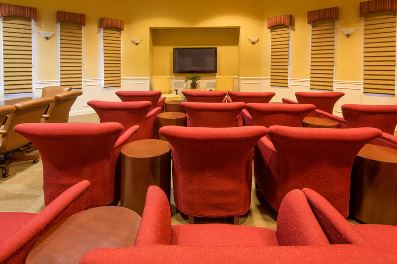 Cinema and meeting room