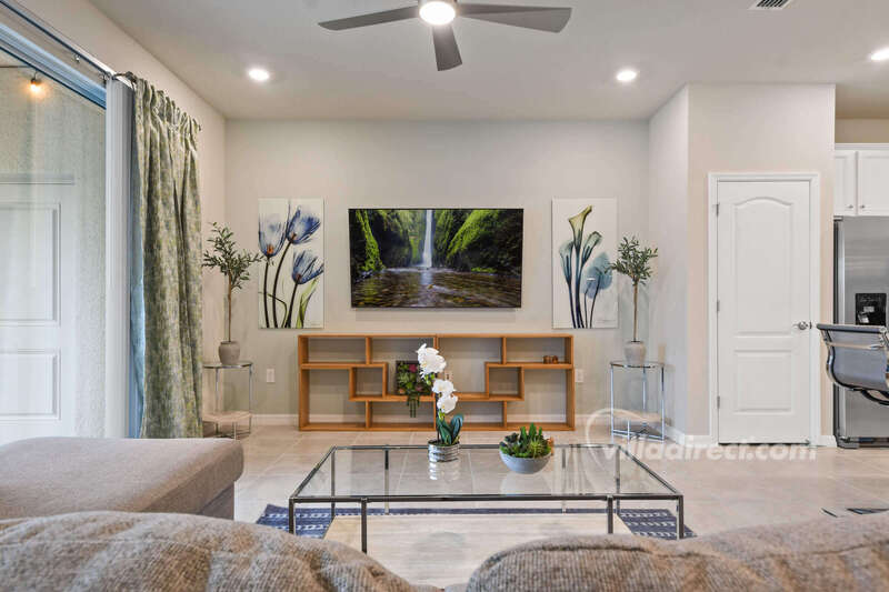 Family room seating and TV